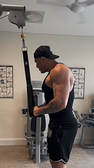 Tricep Extension Pro Attachment